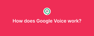 How does Google Voice work?