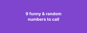 Funny and random numbers to call when you're bored